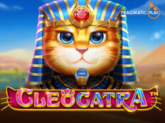 Googlepay casino. Scottish kedi fiyatları 2023.51